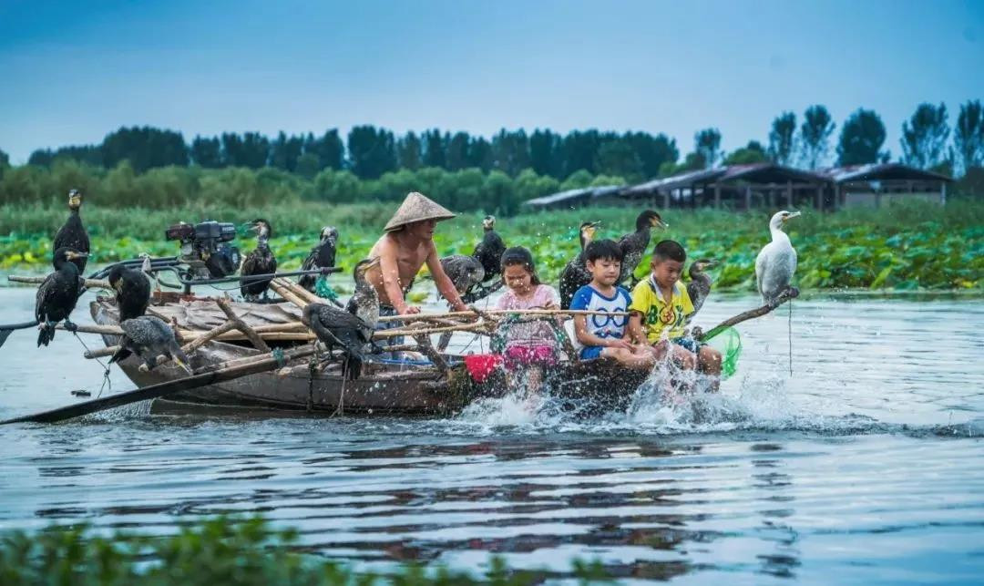 【畅游济宁】新晋景区 全新体验 这些景区您来过吗？