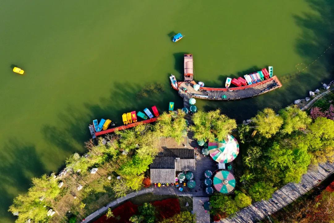 【畅游济宁】初夏去济宁这些地方，刚刚好