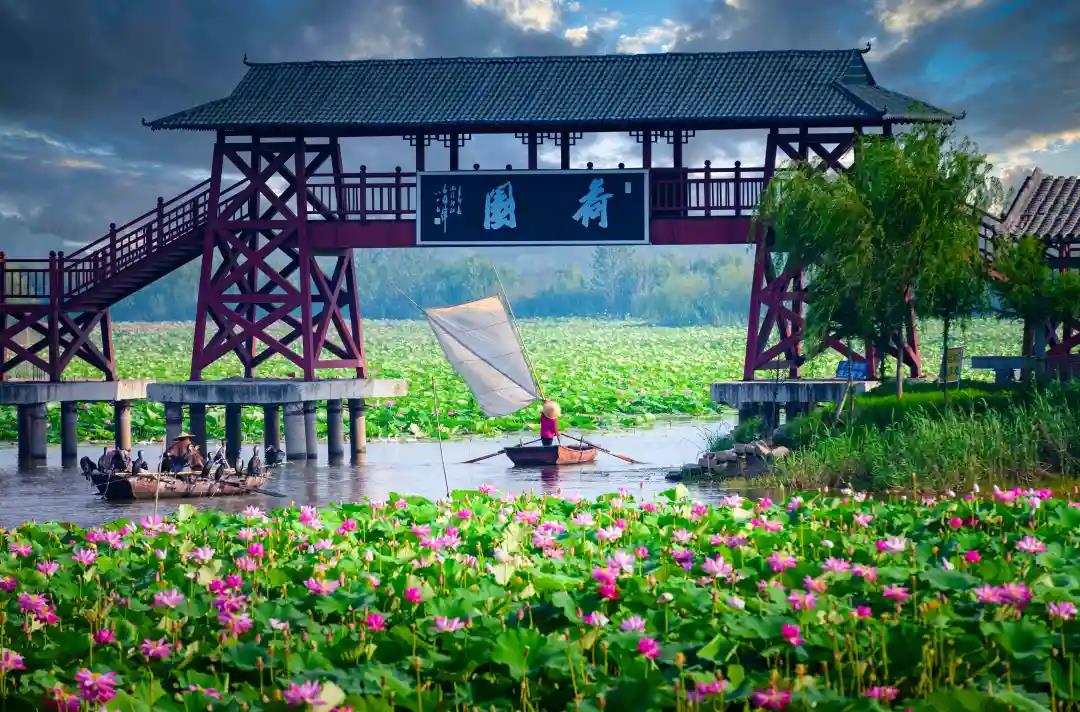 高考加油 | 微山湖杏鑫娱乐区祝愿莘莘学子金榜题名！