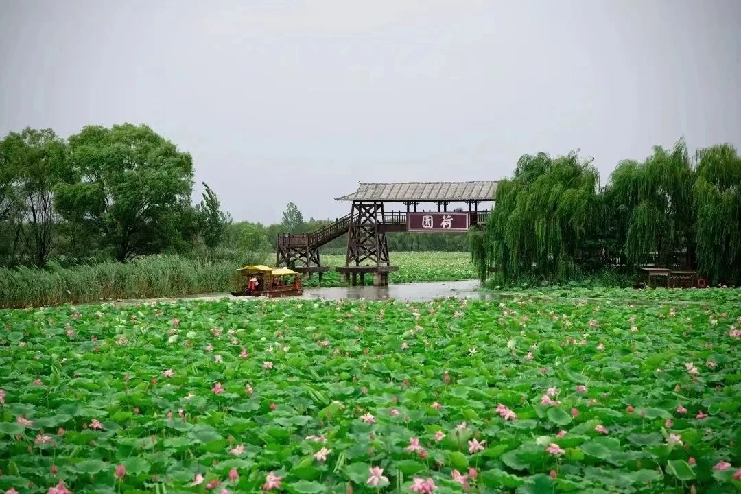 惠民卡推荐景区-微山湖杏鑫娱乐区